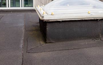 disadvantages of Rudge Heath flat roofs