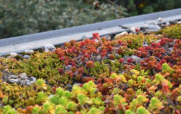 the cost of Rudge Heath green roof installation