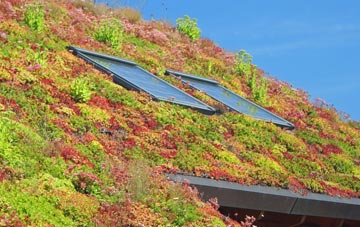 Rudge Heath living roof systems